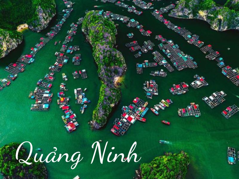 QUẢNG NINH QUẢNG NINH