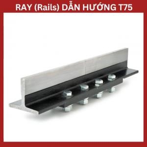 Ray Thang Máy T75 Ray Thang Máy T75